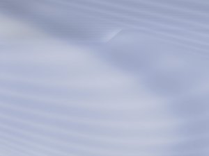 优秀客户满意度团队的共同特质